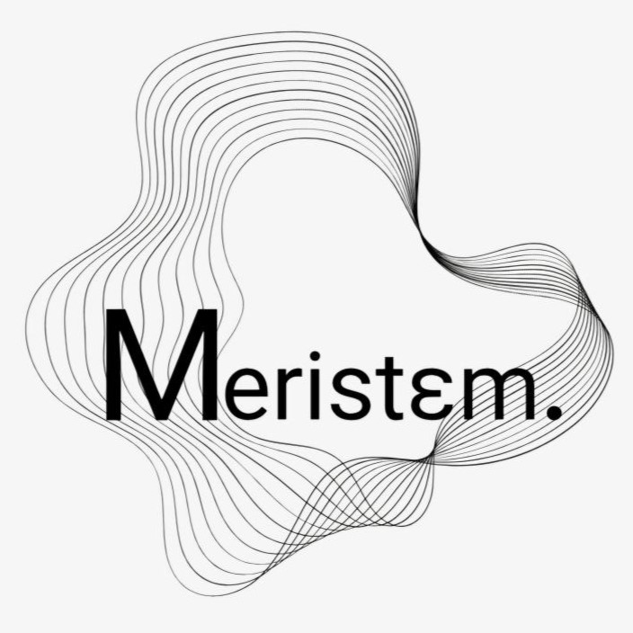 Logo du bureau Méristème Studio, design paysager et urbanisme