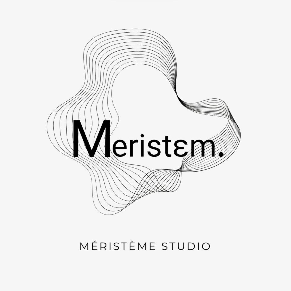 Logo de Méristème Studio, dans le sens projet du terme