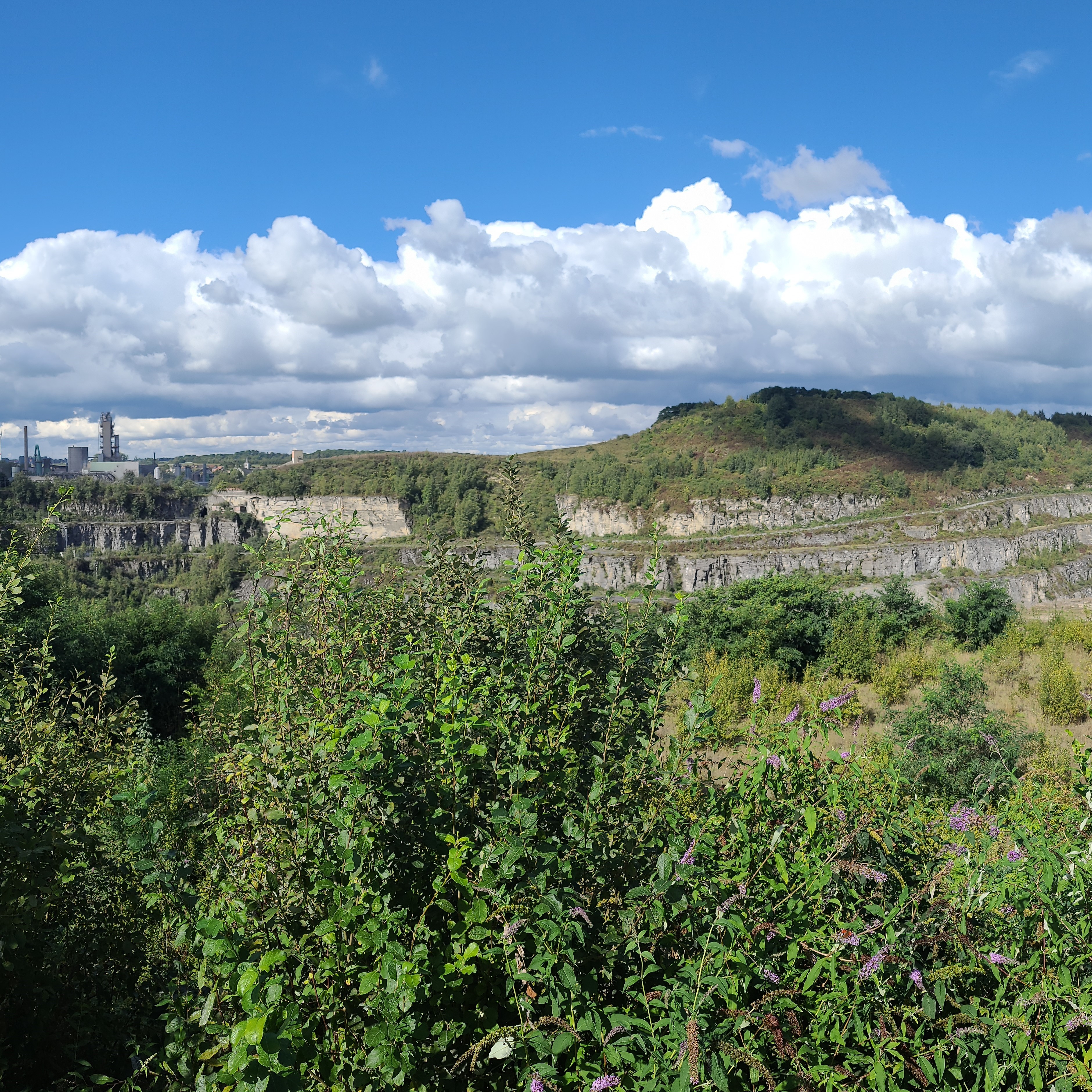 Photo de la carrière du milieu à Antoing prise dans le cadre du projet Life Quarry Award avec Amaury Adam
